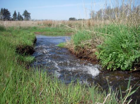 - Ahhhhh, - forfriskende strømvand :-)