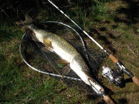 - Lækkert - bare lækkert! Ud med den frække frø og retur med dig :-)