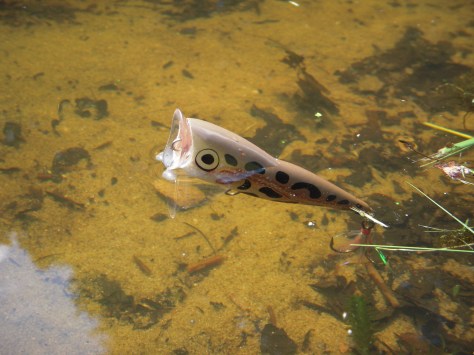 - En bette flabet "ballade"-agn og en times fiskeri var nok...