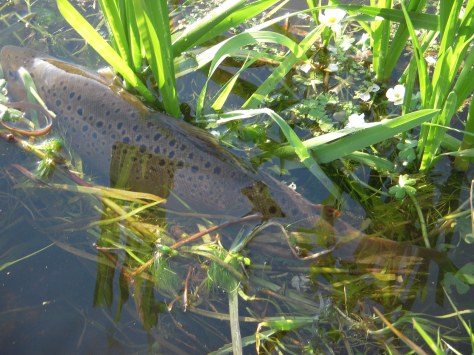 - Altid nice at se dem stikke afsted igen :-)