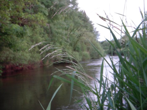 - Lækkert og livligt stræk :-)