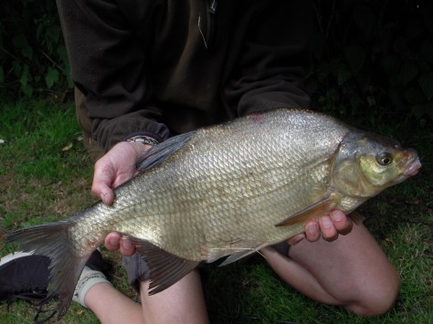- Ganske præsentabel fisk så'n en fætter. 55 cm og 1790 gram. Nice!