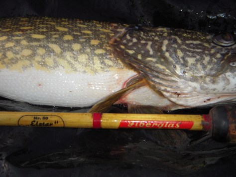 - Afsted til vandet med "den gamle nye" :-)