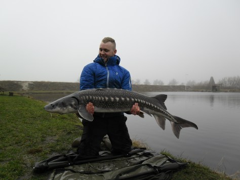 - Ja sgu da!!! _ Gennemført smuk Hvid på anslået godt 30 massive kilo (158 cm)